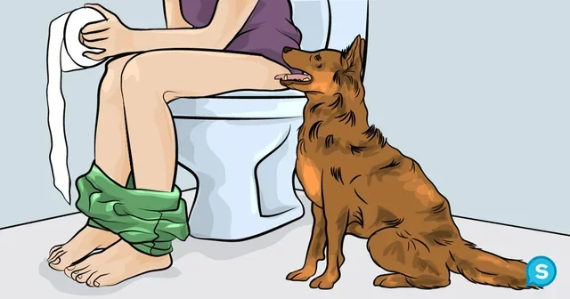 Why Dogs Follow You Into the Bathroom: Unraveling Canine Curiosity and Loyalty